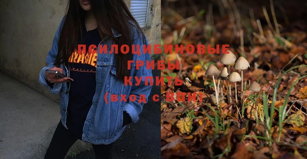 прущие крисы Алзамай
