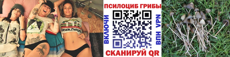 Псилоцибиновые грибы прущие грибы Кохма